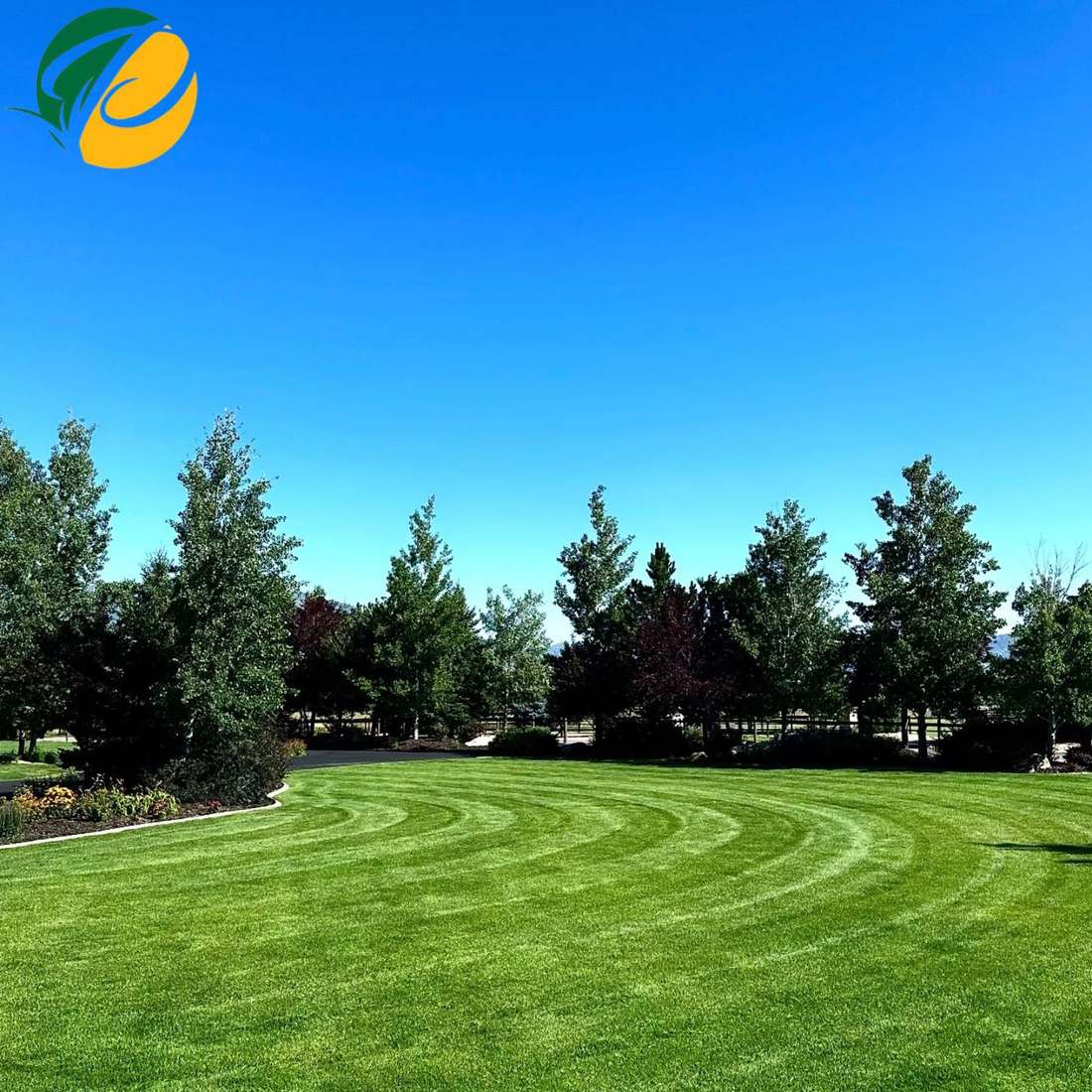 A well-maintained striped lawn in the Heber Valley