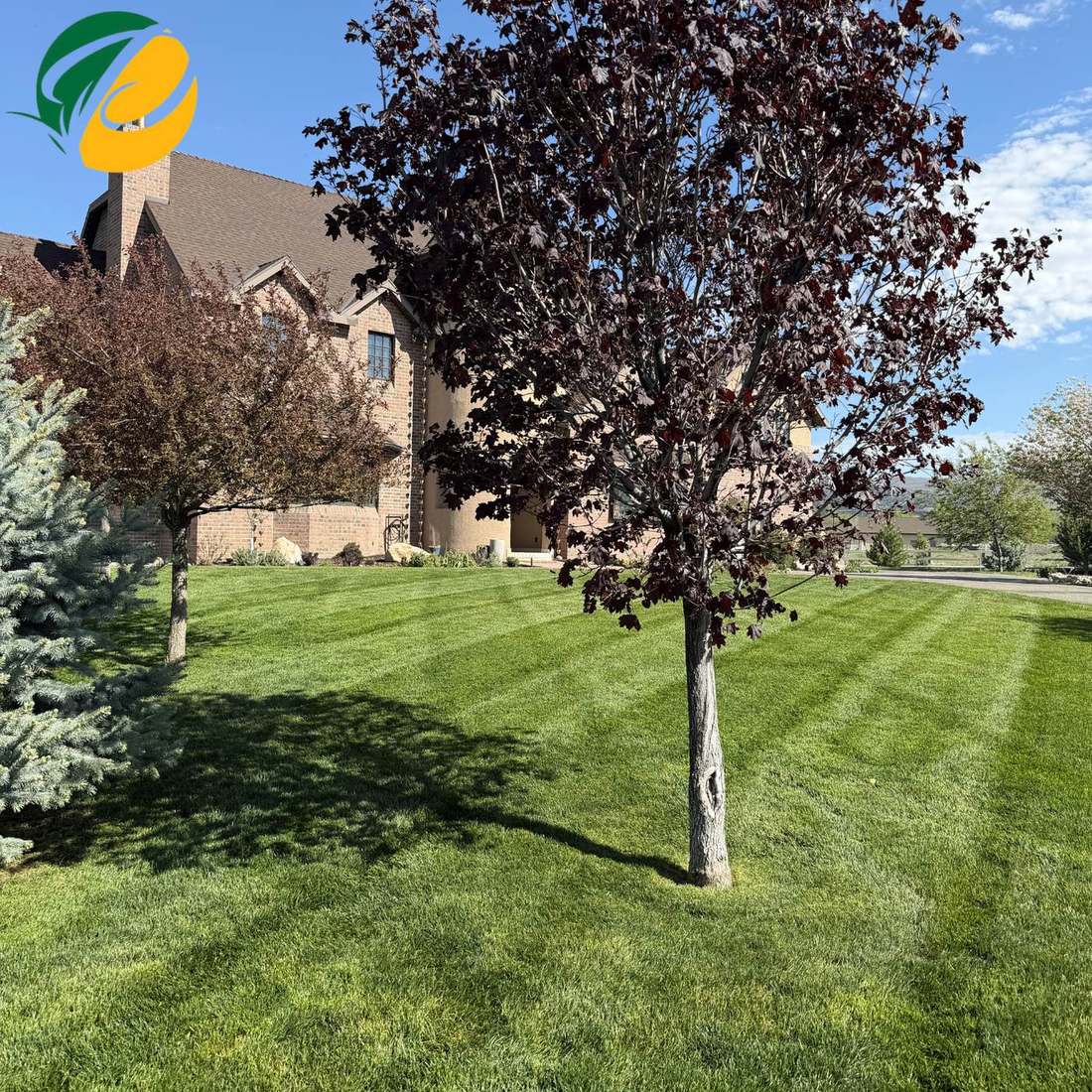 A large landscaped property with mature trees and a manicured lawn